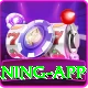 PSL88 Game - King Earning App