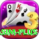 wasim Slot Machine Premium